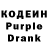 Кодеин Purple Drank Leharunner Sochi