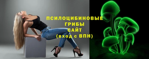 ГАЛЛЮЦИНОГЕННЫЕ ГРИБЫ Куйбышев