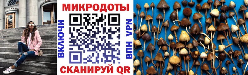 Галлюциногенные грибы Psilocybe  Купить закладки  Яровое 